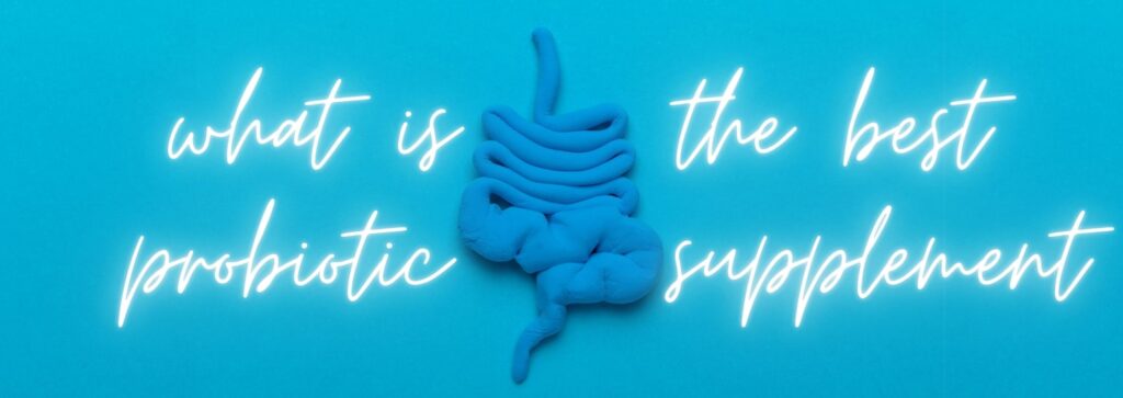 Looking for the best probiotic? Studies have shown that Bifidobacterium Adolescentis is important for maintaining a healthy gut microbiome.