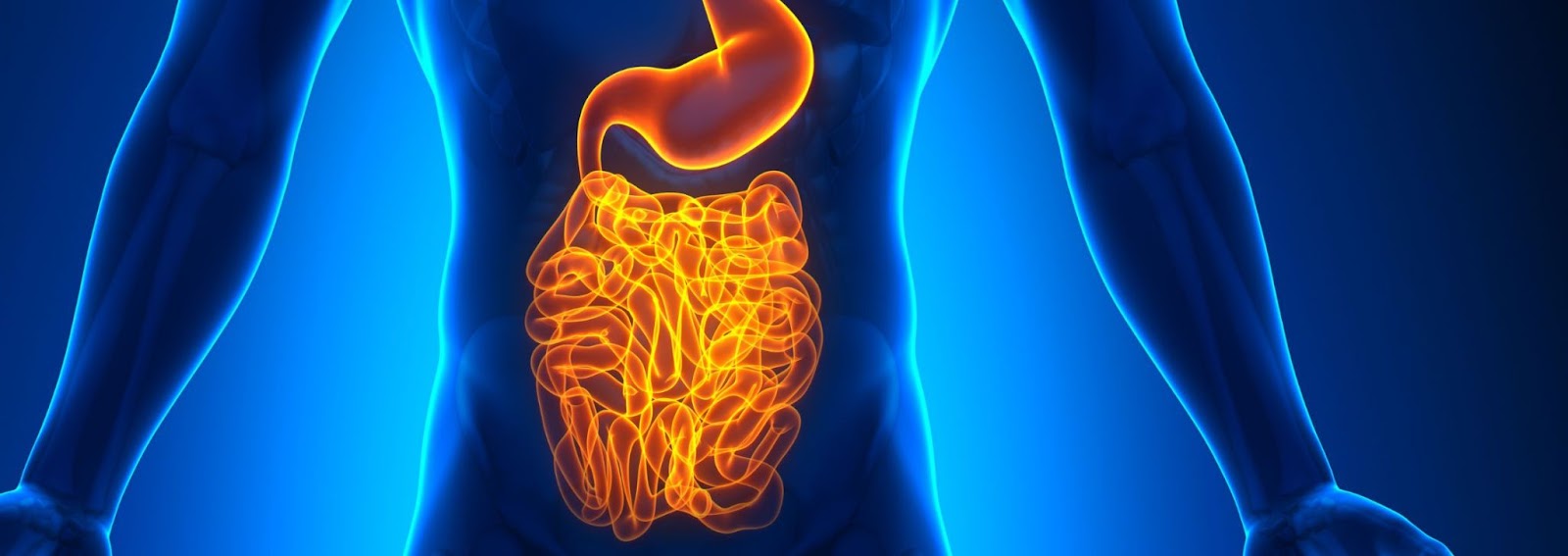 The best probiotic for other may not be effective for your gut health. Hence, it is important to understand what your gut really needs.