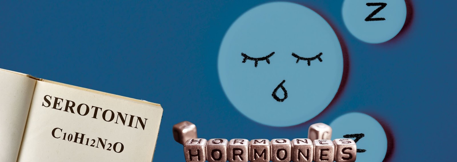 There's an intricate relationship between the gut and the brain. A healthy gut can contribute to a good night's sleep.