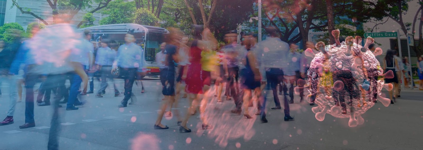 What is the severity of the WHO's latest COVID-19 variant, JN.1?